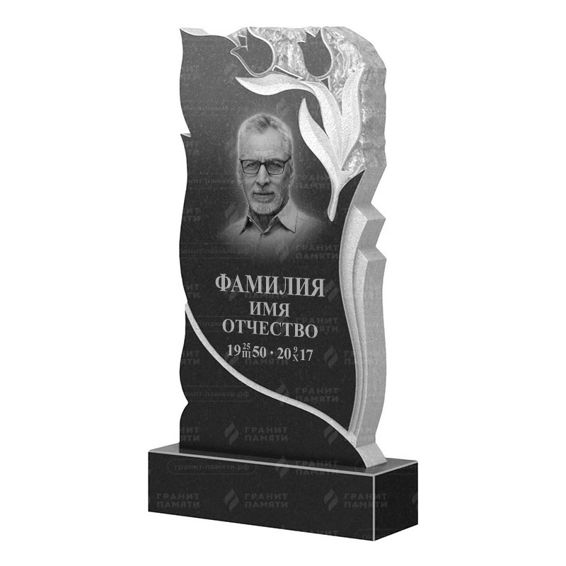 Гранитные памятники в&nbsp;Набережных Челнах | Гранитный памятник ФГ-223